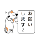 三毛猫の日常会話（個別スタンプ：38）