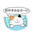 三毛猫の日常会話（個別スタンプ：40）