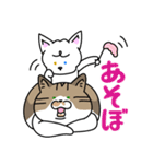 よも＆しら〜個性派ねこ兄弟〜（個別スタンプ：1）