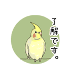 オカメいんこ（個別スタンプ：4）