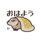 ニホンアナグマ（個別スタンプ：1）