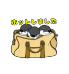 一日を楽しく Havea Nice Day（個別スタンプ：6）