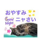 ナイルくんだよ（個別スタンプ：2）