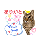 ナイルくんだよ（個別スタンプ：3）