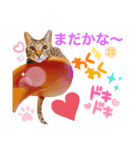 ナイルくんだよ（個別スタンプ：4）