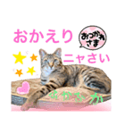 ナイルくんだよ（個別スタンプ：5）