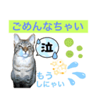 ナイルくんだよ（個別スタンプ：6）