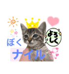 ナイルくんだよ（個別スタンプ：7）