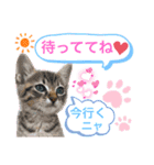 ナイルくんだよ（個別スタンプ：8）