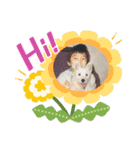 Scooby's line sticker！（Dog）イヌ（個別スタンプ：4）