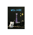 Scooby's line sticker！（Dog）イヌ（個別スタンプ：14）