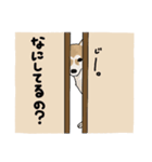 まめしば1（個別スタンプ：8）