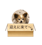 やまだんちの犬（個別スタンプ：7）