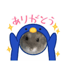 ジャンガリアンハムスターおもちのスタンプ（個別スタンプ：8）