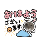 ジャンガリアンハムスターおもちのスタンプ（個別スタンプ：9）
