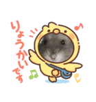 ジャンガリアンハムスターおもちのスタンプ（個別スタンプ：13）