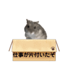 ジャンガリアンハムスターおもちのスタンプ（個別スタンプ：25）