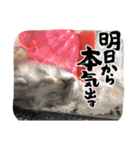 ジャンガリアンハムスターおもちのスタンプ（個別スタンプ：31）