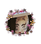 龍00011（個別スタンプ：12）