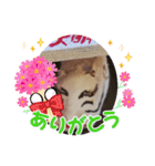 龍00011（個別スタンプ：35）