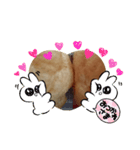シュークリームです（個別スタンプ：1）