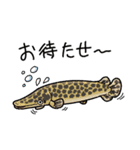 古代魚と大型魚のスタンプ（個別スタンプ：15）