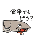 古代魚と大型魚のスタンプ（個別スタンプ：16）