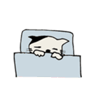 日常使える猫のスタンプ 修正版（個別スタンプ：8）