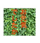 ご挨拶(壁背景ver.)（個別スタンプ：6）