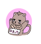 ぬこにゃんすたんぷ（個別スタンプ：1）