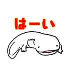 毎日使える敬語の白いオオサンショウウオ（個別スタンプ：3）