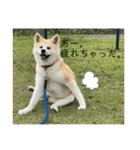 あいともものスタンプ（個別スタンプ：4）