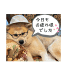 あいともものスタンプ（個別スタンプ：11）