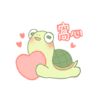 可愛いのカメ日常（個別スタンプ：1）