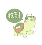 可愛いのカメ日常（個別スタンプ：6）