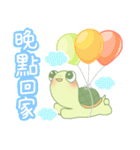可愛いのカメ日常（個別スタンプ：11）
