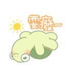 可愛いのカメ日常（個別スタンプ：17）