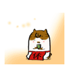 ちゃまるねこ（個別スタンプ：16）