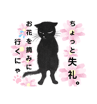 Kの世界(3)黒猫（個別スタンプ：3）