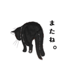 Kの世界(3)黒猫（個別スタンプ：10）