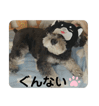 にこここスタンプ 2（個別スタンプ：2）