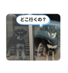 にこここスタンプ 2（個別スタンプ：8）