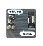 にこここスタンプ 2（個別スタンプ：11）