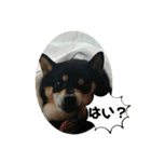 にこここスタンプ 2（個別スタンプ：18）