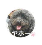 にこここスタンプ 2（個別スタンプ：24）