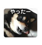 にこここスタンプ 2（個別スタンプ：26）