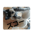 にこここスタンプ 2（個別スタンプ：31）
