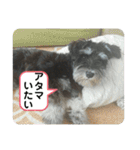 にこここスタンプ 2（個別スタンプ：37）