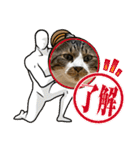 ねこちゃんスタンプ7（個別スタンプ：8）