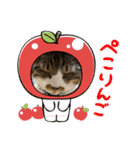 ねこちゃんスタンプ7（個別スタンプ：10）